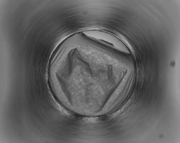 X0000099410810200805301344