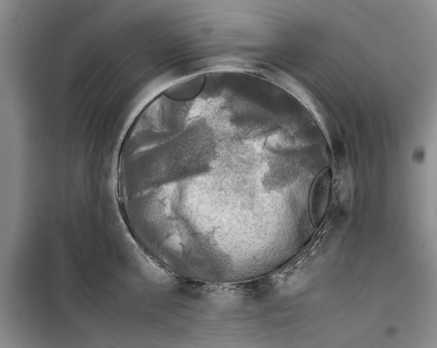 X0000099410811200805301344