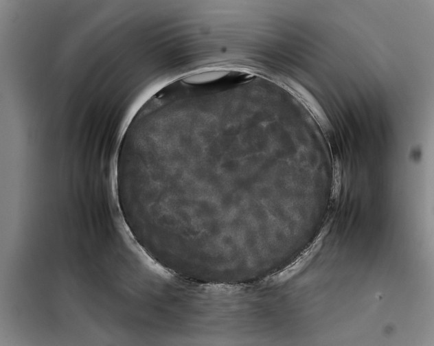 X0000099410812200805301344