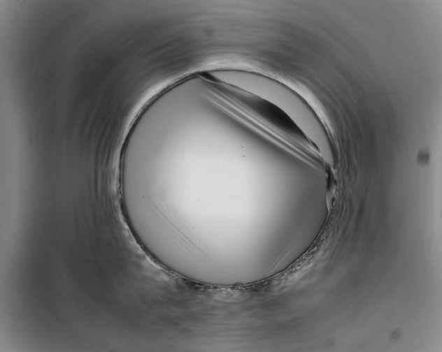 X0000099410815200805301344