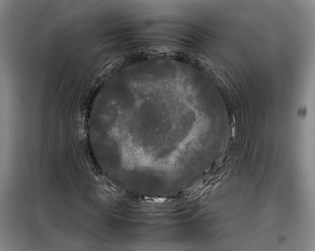 X0000099410819200805301343