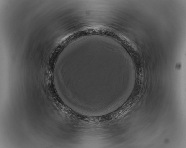 X0000099410822200805301343