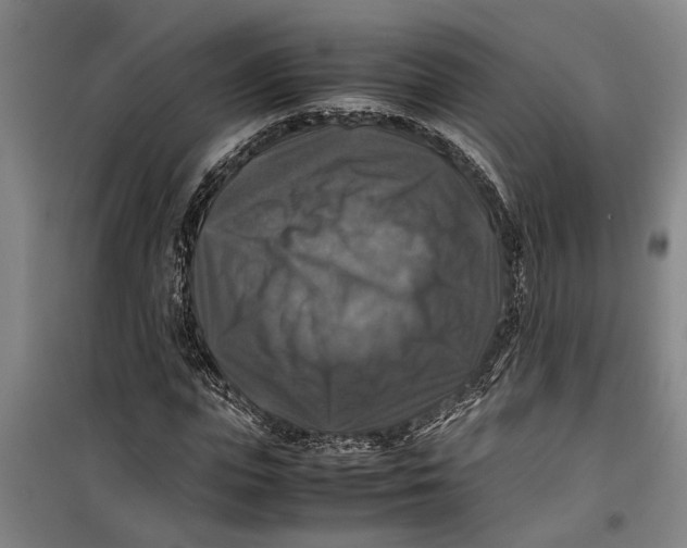 X0000099410823200805301343