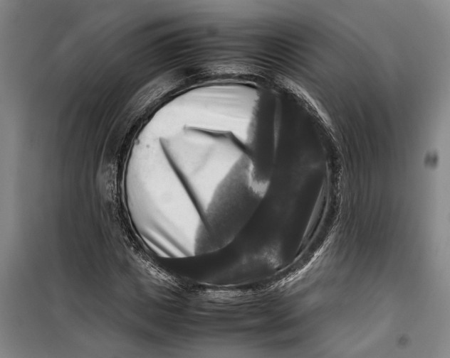 X0000099410825200805301343