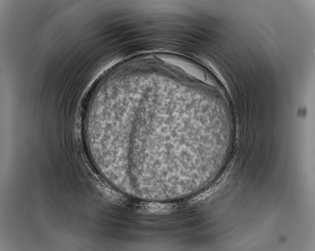 X0000099410827200805301344