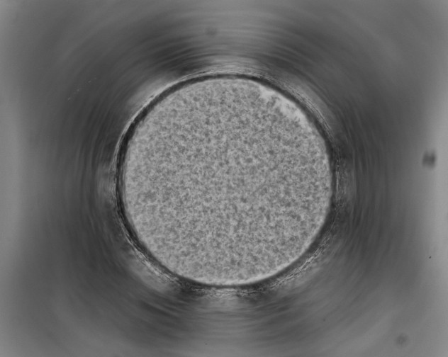 X0000099410828200805301344