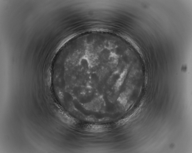 X0000099410829200805301344