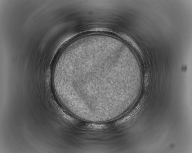 X0000099410831200805301344