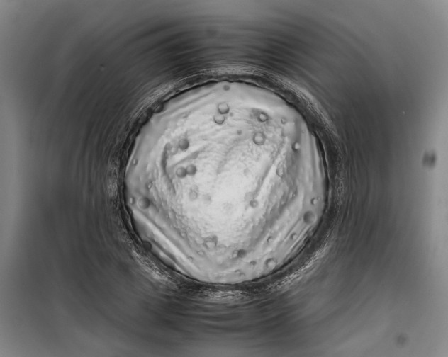 X0000099410833200805301344