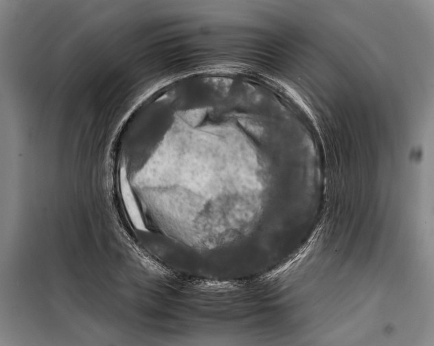 X0000099410835200805301344