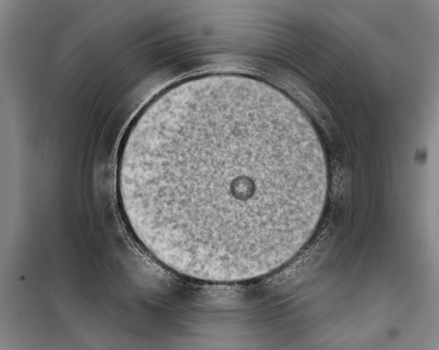 X0000099410836200805301344