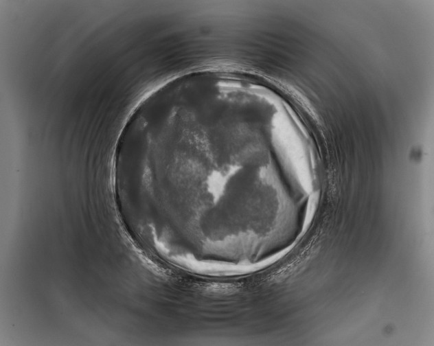 X0000099410839200805301344