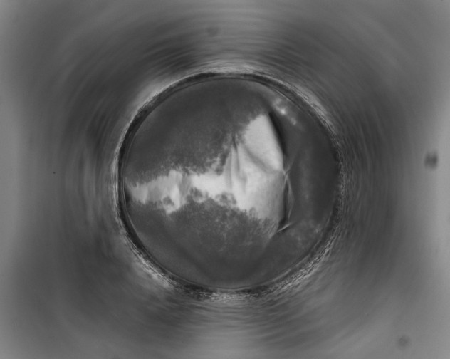 X0000099410840200805301344