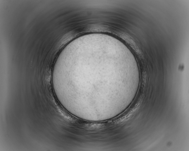 X0000099410841200805301344