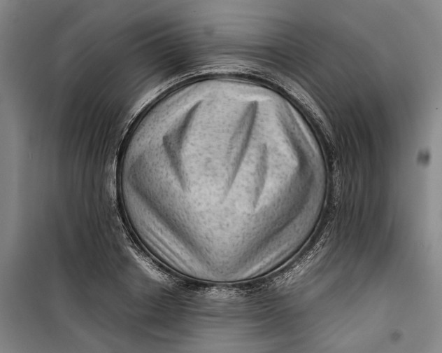 X0000099410842200805301344