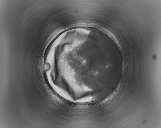 X0000099410844200805301344