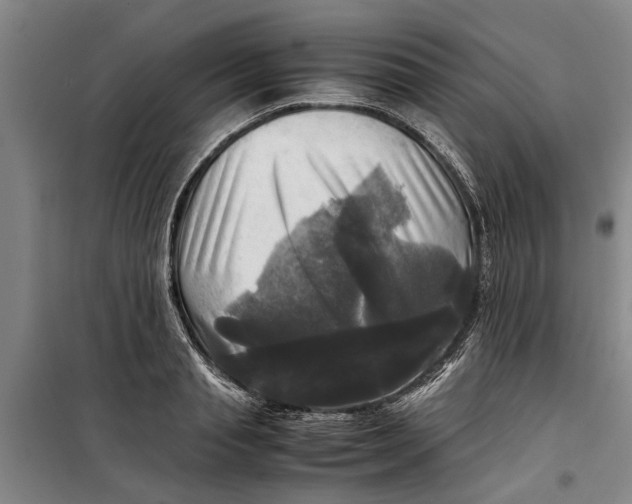 X0000099410845200805301344