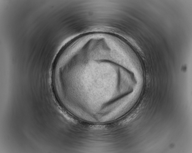 X0000099410846200805301344