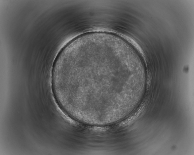 X0000099410847200805301344