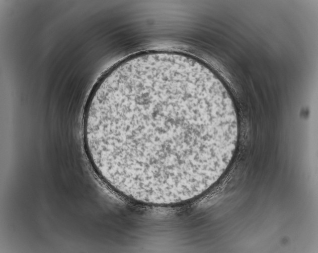 X0000099410848200805301344