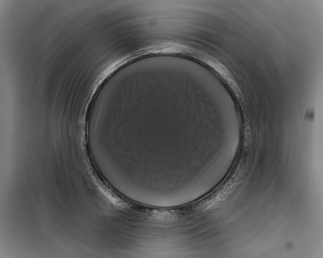 X0000099410850200805301344