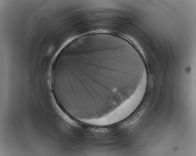 X0000099410851200805301344