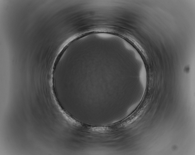 X0000099410853200805301344