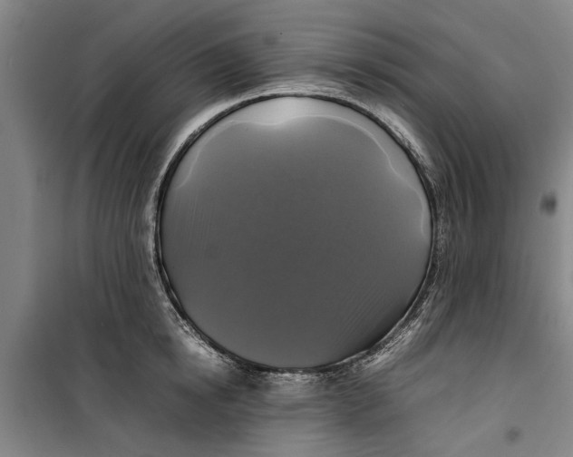 X0000099410854200805301344