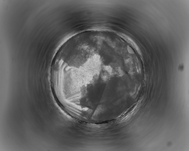 X0000099410855200805301344