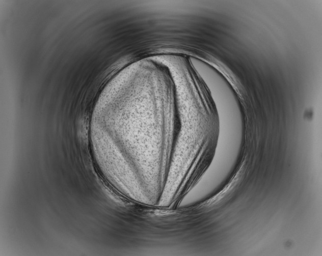 X0000099410857200805301344