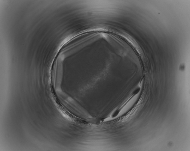 X0000099410858200805301344