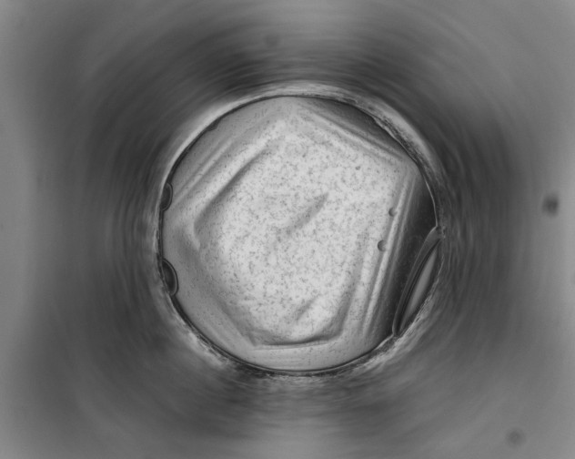 X0000099410860200805301344