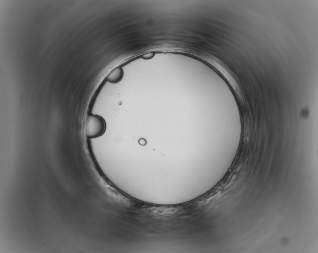 X0000099410861200805301344