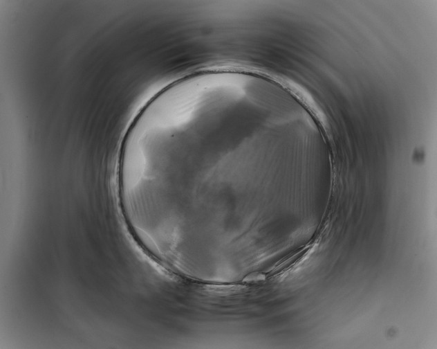 X0000099410863200805301344