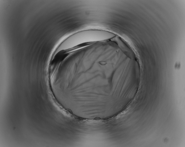 X0000099410864200805301344