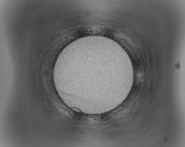 X0000099410865200805301343