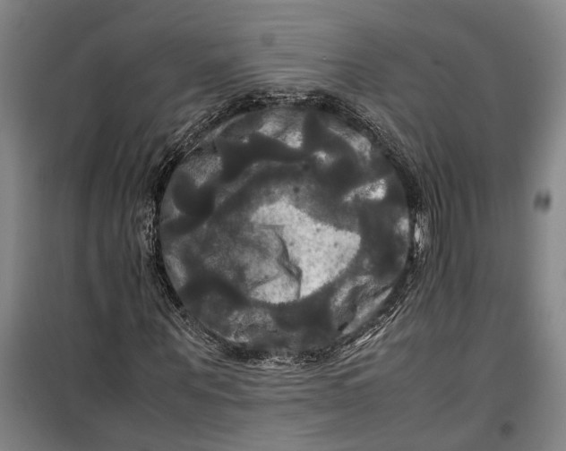 X0000099410867200805301343