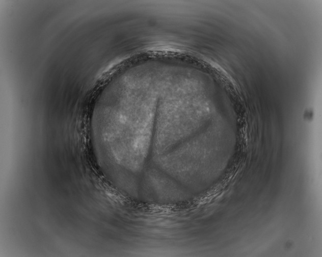 X0000099410870200805301343