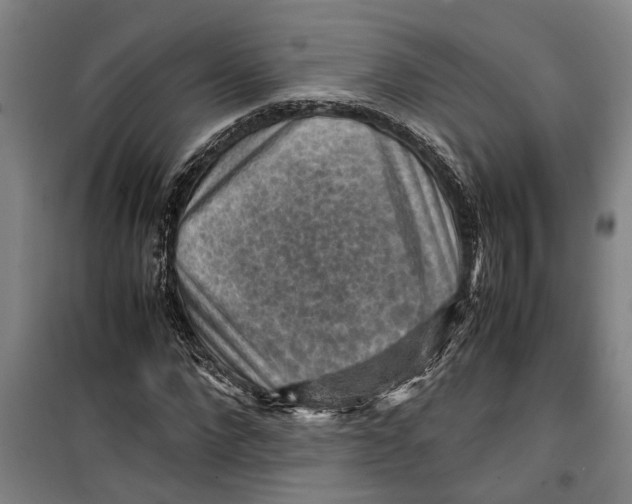 X0000099410872200805301343