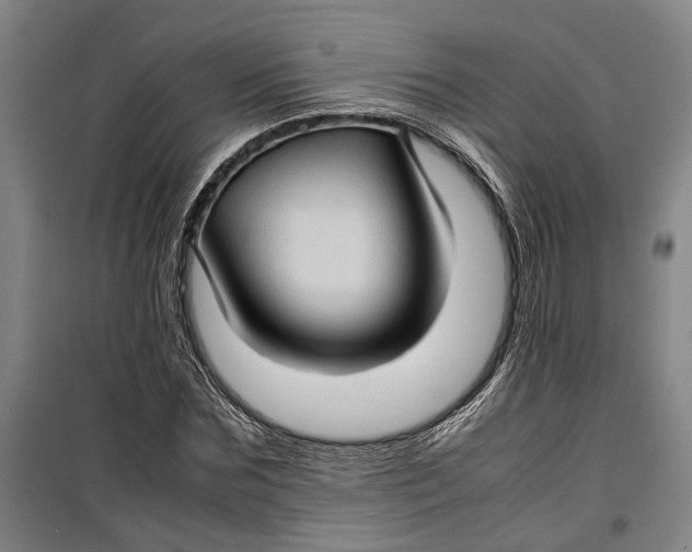 X0000099410875200805301343