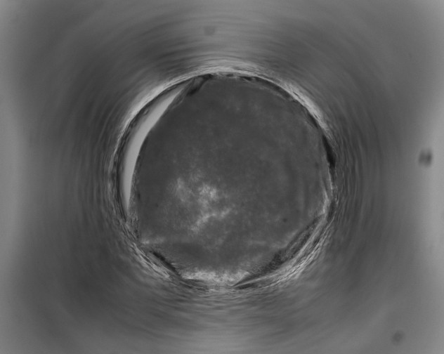 X0000099410877200805301343