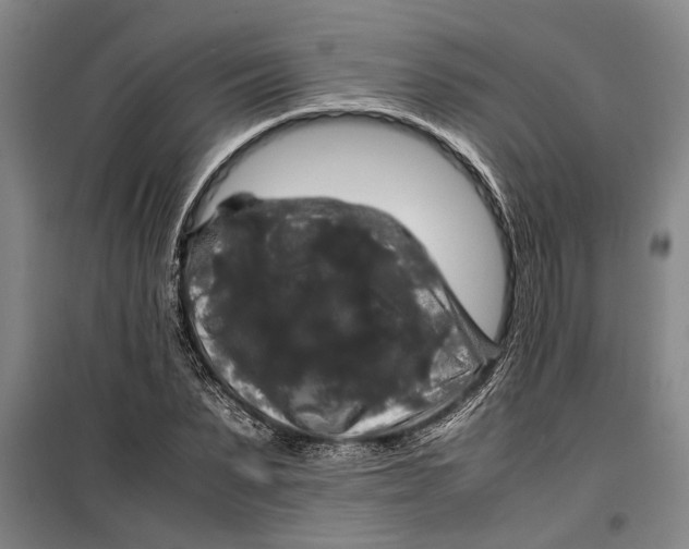 X0000099410879200805301343