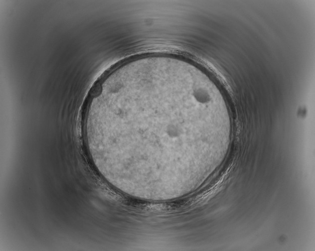 X0000099410883200805301343