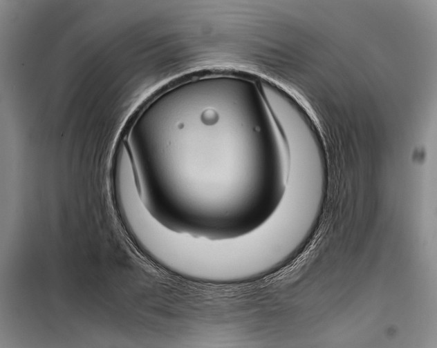 X0000099410887200805301343