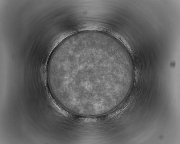 X0000099410890200805301343