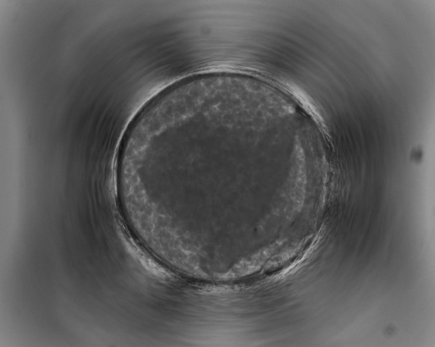 X0000099410892200805301343