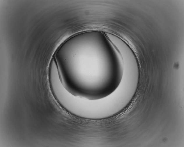 X0000099410899200805301343