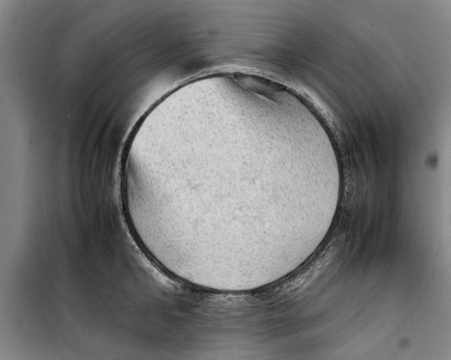 X0000099410902200805301343