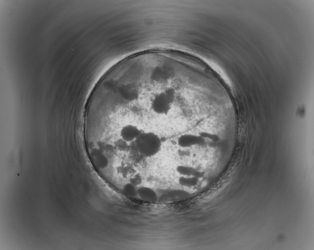 X0000099410903200805301343