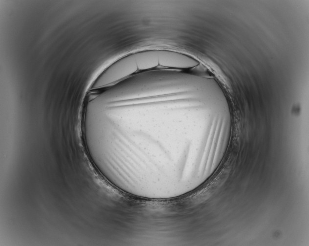 X0000099410904200805301343